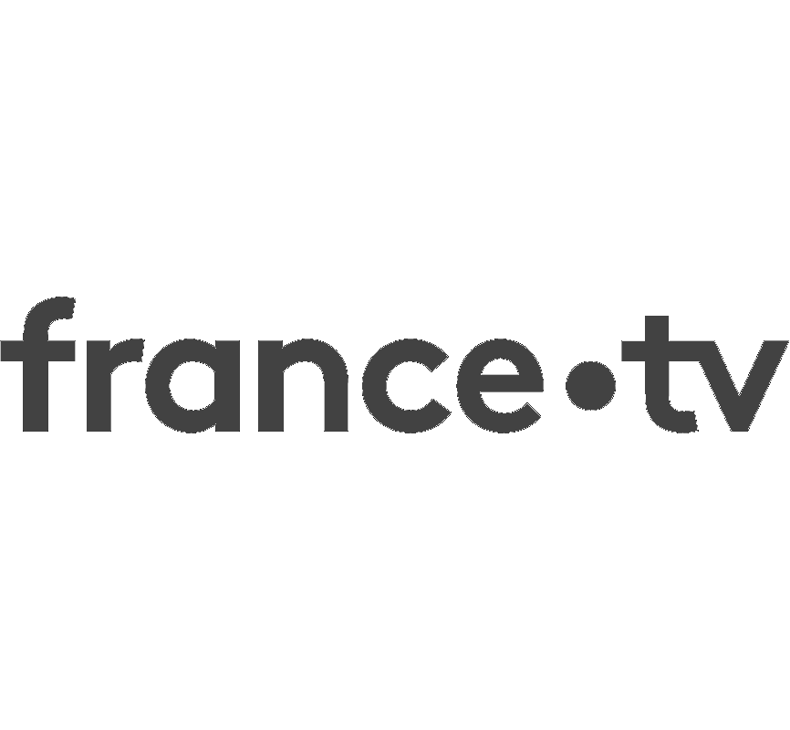 Logo France Télévisions